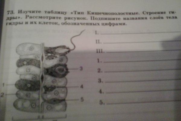 Адрес сайта кракен