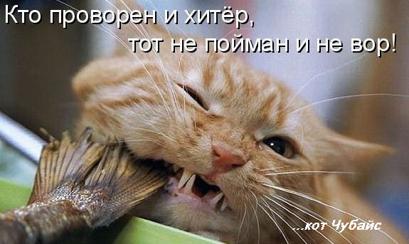 Кракен даркнет официальный