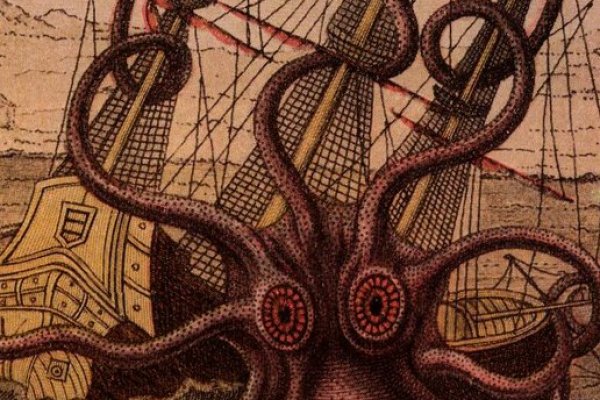 Kraken kraken link24 info